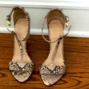 Snakeskin Club Monaco Heels